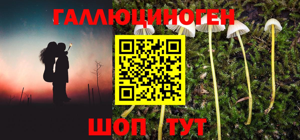 Псилоцибиновые грибы MAGIC MUSHROOMS Волгоград