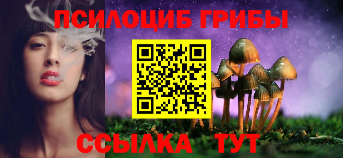 Галлюциногенные грибы GOLDEN TEACHER  Вход с VPN  Волгоград 