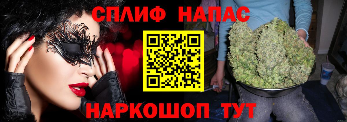 Каннабис план Волгоград